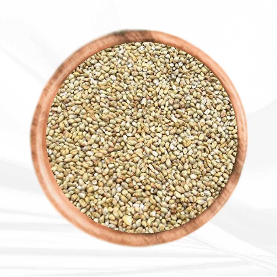 Pearl Millet (Desi) / கம்பு (நாடு)