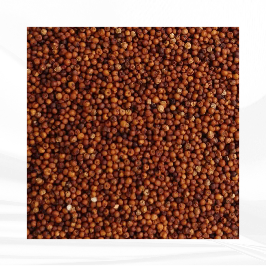 Finger Millet (Desi) / ராகி (நாடு)