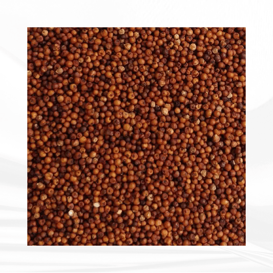 Finger Millet (Desi) / ராகி (நாடு)