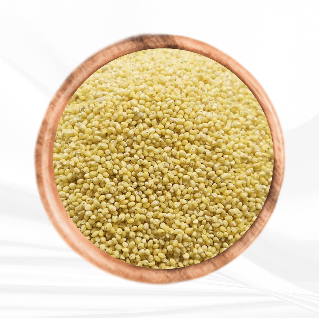 Proso Millet / பனிவரகு