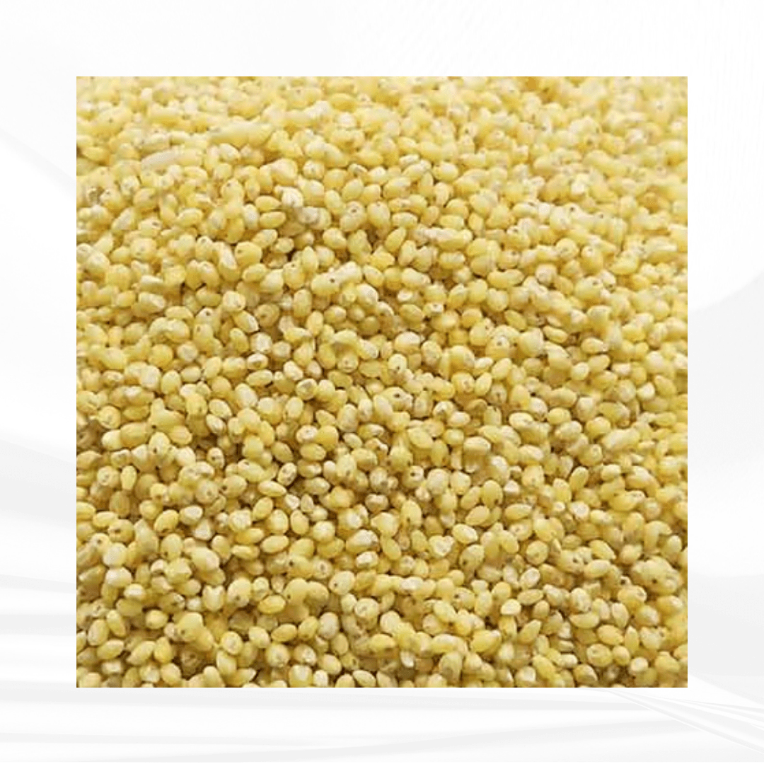 Proso Millet / பனிவரகு