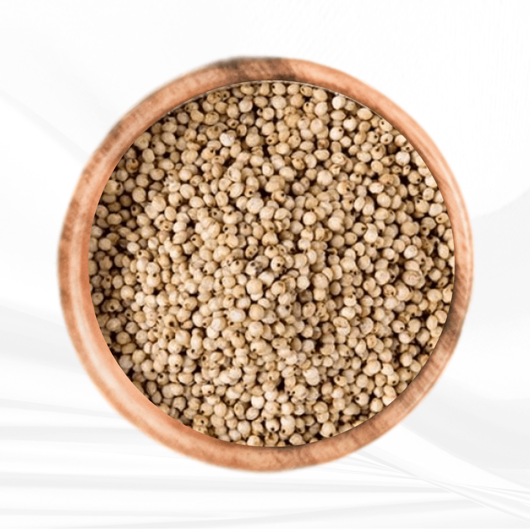 White Sorghum / வெள்ளைச் சோளம்
