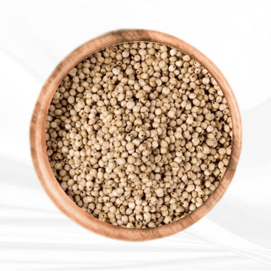 White Sorghum / வெள்ளைச் சோளம்