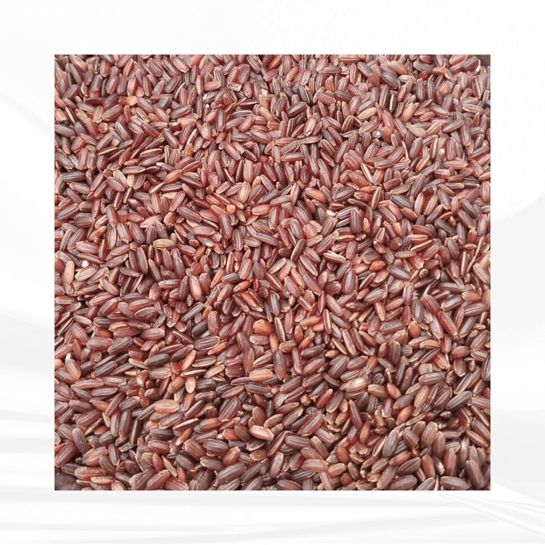 Pisini / பிசினி