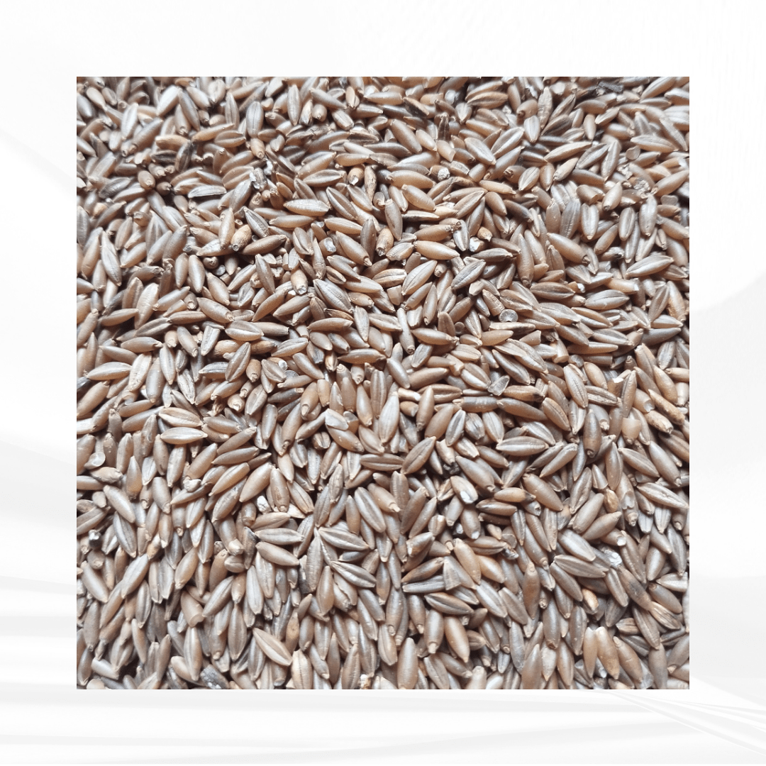 Bamboo Rice / மூங்கில் அரிசி