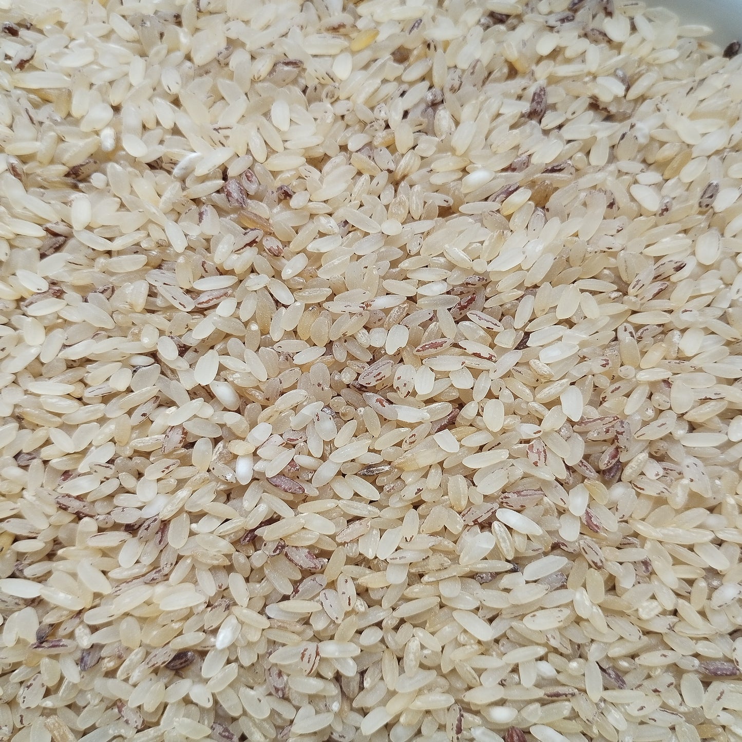 JEHRIC Sorna Masoori Rice | சொர்ணா மசூரி | Premium Traditional White Rice