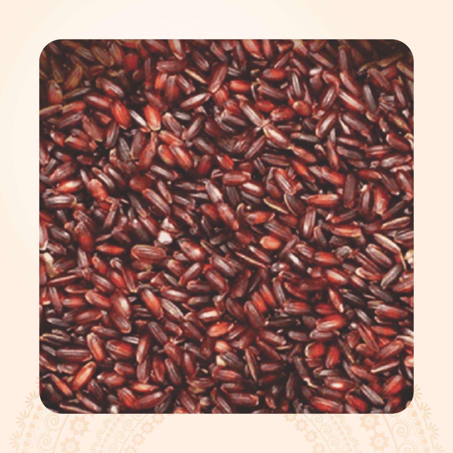 Karunkuruvai / கருங்குருவை