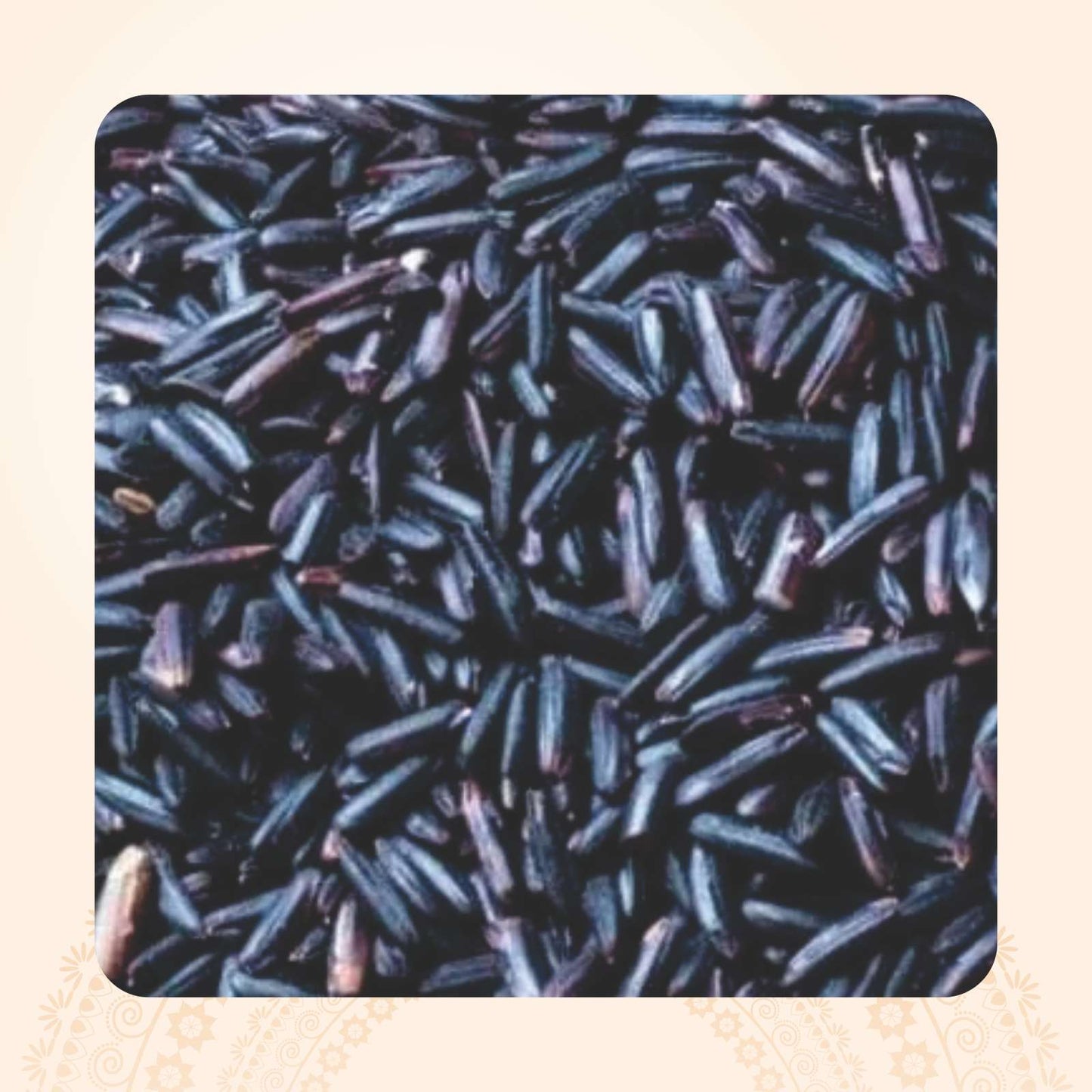 Karuppu Kavuni / கருப்புக் கவுனி