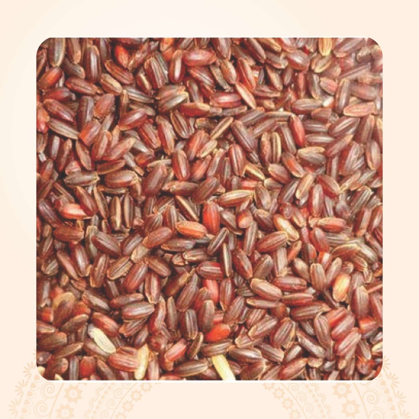 Kattuyanam / காட்டுயானம்
