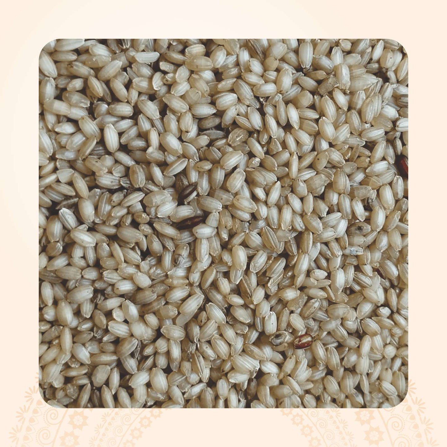 Mani Samba / மணிச்சம்பா