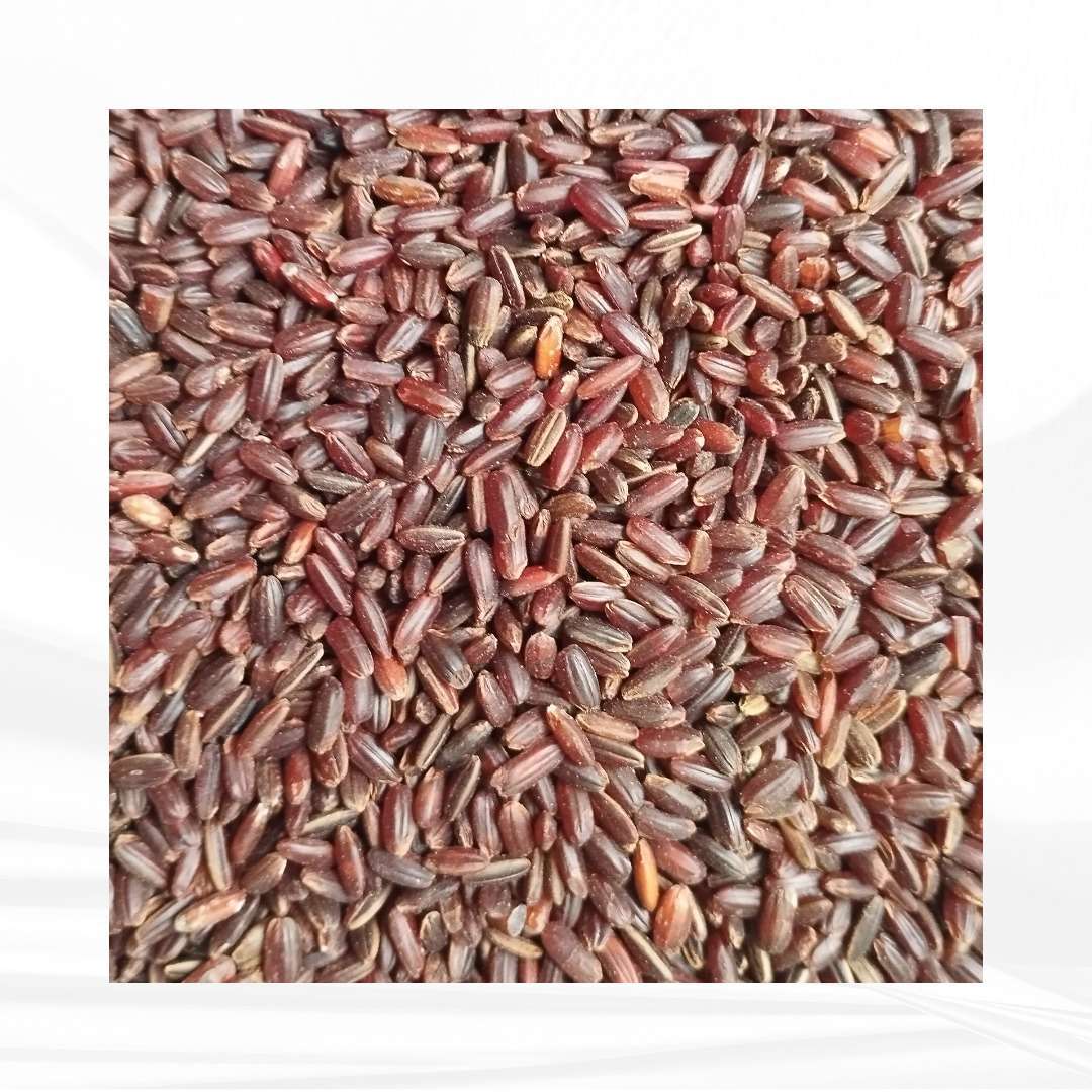 Kullakkar / குள்ளக்கார்